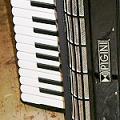 Lynne Cooke, accordion