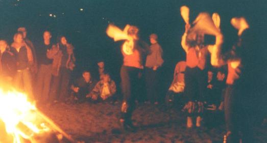 Bufflehead at the bonfire on Muir Beach
