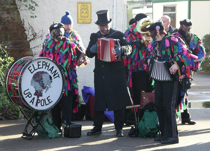 Elephant's band in full swing