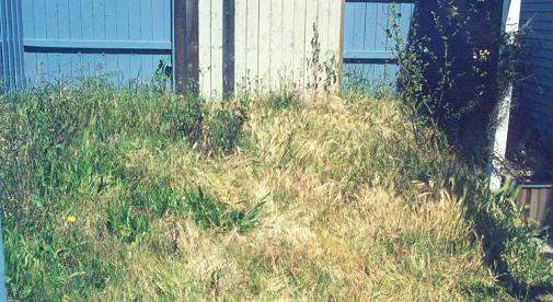 Here's what it used to look like..