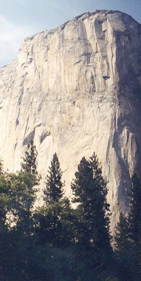 El Capitan looking up from the meadow - see pic at top right for an enlarged version showing rock climbers